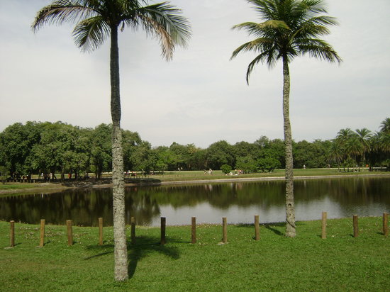 Bosque da Barra